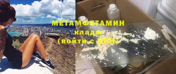 прущие грибы Пестово