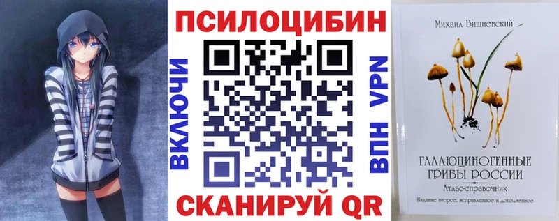 купить закладку  Верхняя Салда  Псилоцибиновые грибы ЛСД 